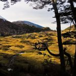 aventura trekking en ushuaia